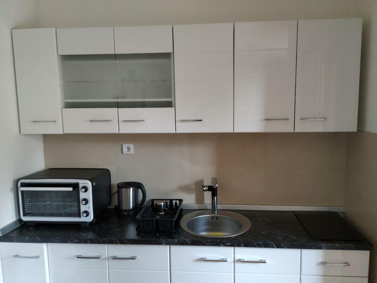 Apartman Lasofti ズラティボール エクステリア 写真