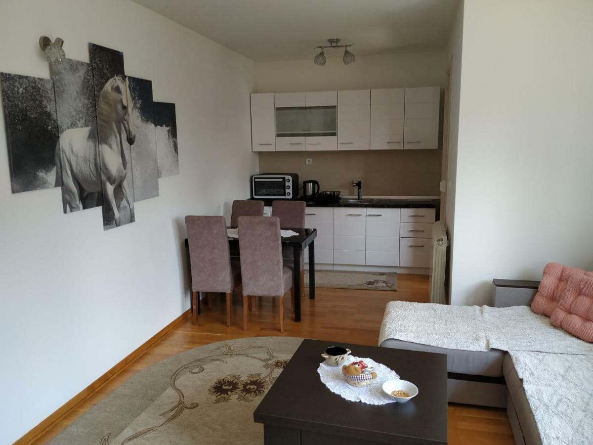 Apartman Lasofti ズラティボール エクステリア 写真