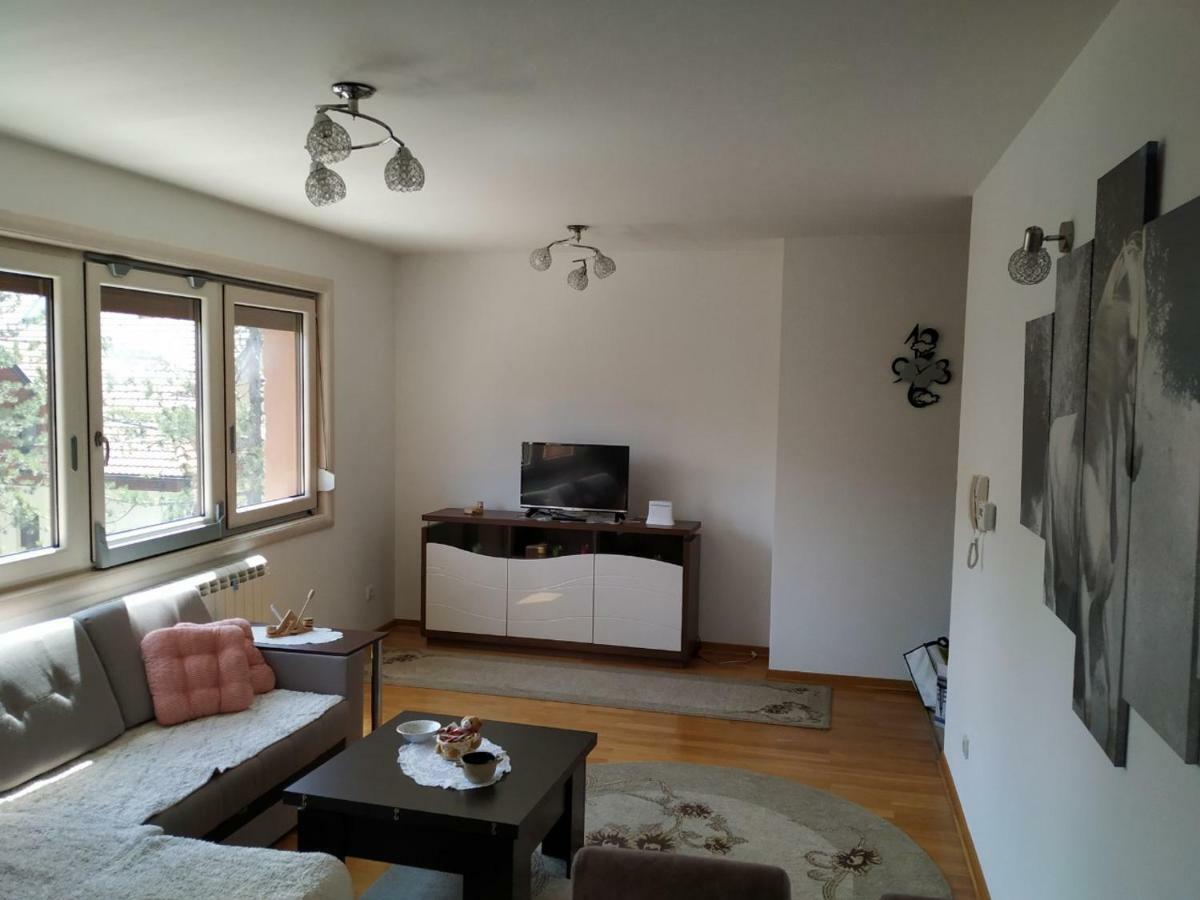 Apartman Lasofti ズラティボール エクステリア 写真
